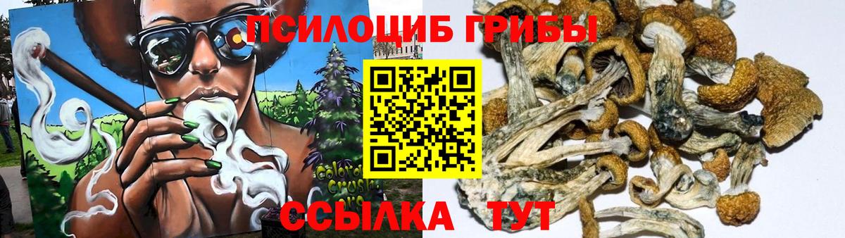 Псилоцибиновые грибы Psilocybine cubensis Чайковский